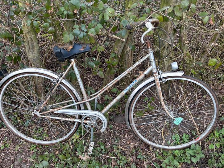 Vintage Peugeot fietsen tekoop, Fietsen en Brommers, Fietsen | Oldtimers, Ophalen