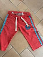 Short superdry small, Kleding | Dames, Broeken en Pantalons, Ophalen of Verzenden