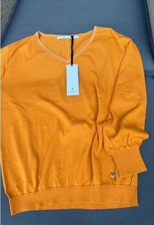 Xandres Nieuwe Trui - Maat S, Kleding | Dames, Truien en Vesten, Nieuw, Maat 36 (S), Ophalen of Verzenden