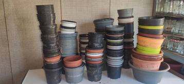 150-200 bloempotten  beschikbaar voor biedingen