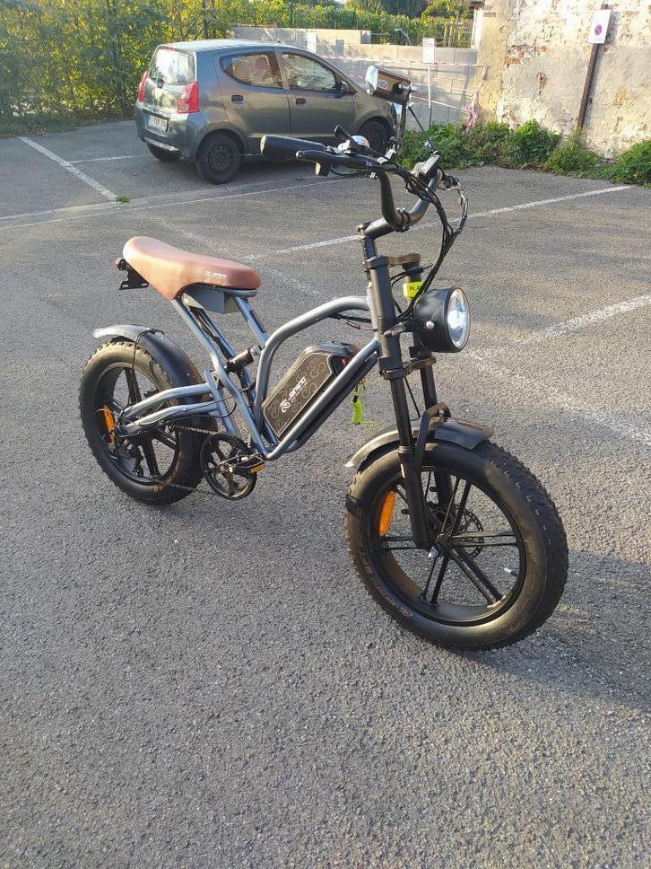 Vélo électrique pour adultes, Sport en Fitness, Wielrennen, Zo goed als nieuw, Overige typen, Ophalen