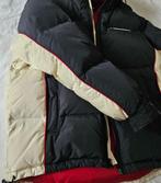 TOMY HILFIGER Donsjas heren, Ophalen, Zo goed als nieuw, Tommy hilfiger, Maat 48/50 (M)
