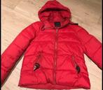 ZARA winterjas maat M, Kleding | Dames, Ophalen, Zo goed als nieuw, Maat 38/40 (M)