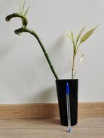 Bamboe + vaas, Huis en Inrichting, Ophalen, Zo goed als nieuw