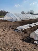 serre bogen, Zakelijke goederen, Landbouw | Aardappelen, Groenten, Fruit en Vlees, Ophalen