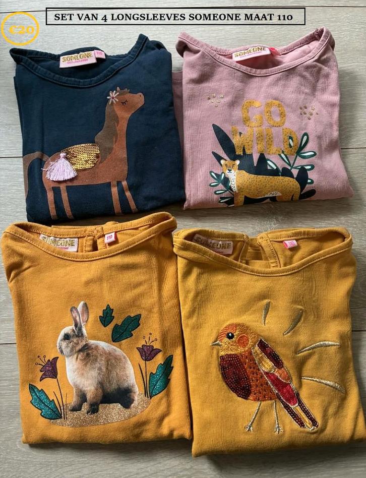 Set maat 110: 3 longsleeves Someone, Kinderen en Baby's, Kinderkleding | Maat 110, Gebruikt, Meisje, Shirt of Longsleeve, Ophalen of Verzenden