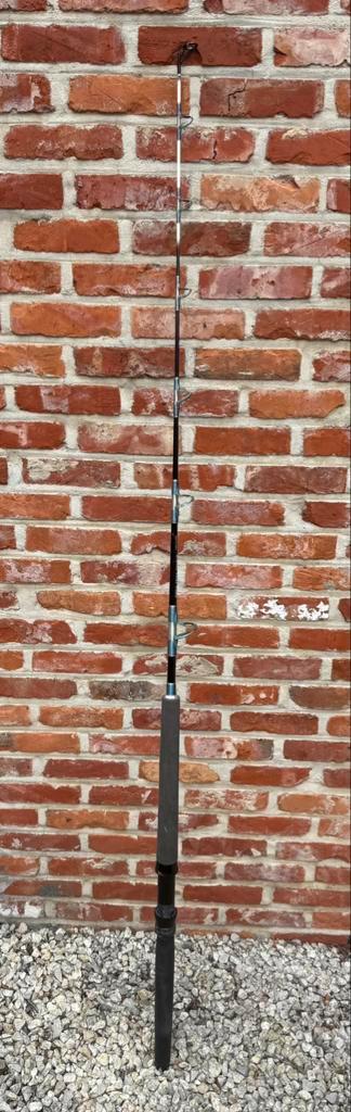 Vislijn Tuff Stick Standup Penn 10kg, Watersport en Boten, Hengelsport | Zeevissen, Gebruikt, Werphengel, Ophalen