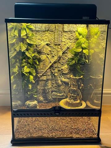 Terrarium 45x45x60 beschikbaar voor biedingen