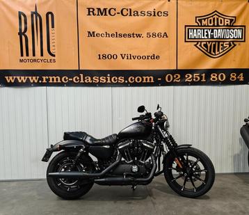 Harley-Davidson Cruiser SPORTSTER - IRON 883 (bj 2017) beschikbaar voor biedingen