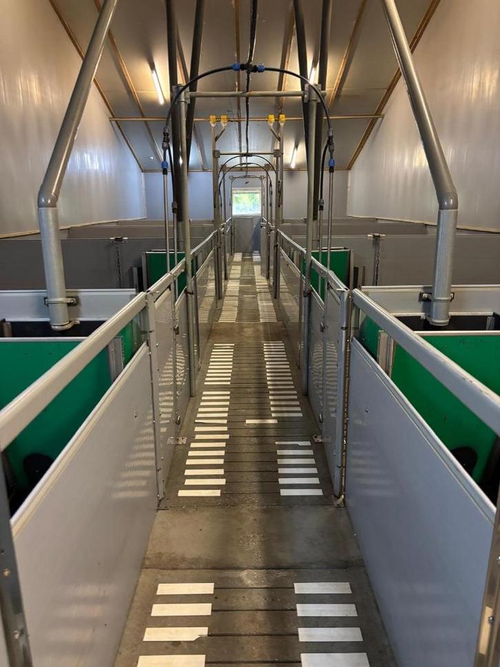 Kunststof hokinrichting vleesvarkens [742], Dieren en Toebehoren, Stalling en Weidegang, Opfok