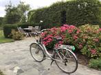 Damesfiets l’avenir, Fietsen en Brommers, Fietsen | Dames | Damesfietsen, Gebruikt, Versnellingen, Minder dan 47 cm, Ophalen