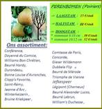 FRUITBOMEN : APPELS, PEREN, KERSEN, PRUIMEN, PERZIKEN,..., Tuin en Terras, Ophalen of Verzenden, Lente, Vaste plant, Fruitplanten