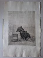 Fraaie ets van M. Verkoeyen Ruiter en paard voor schutting, Antiek en Kunst, Kunst | Etsen en Gravures, Ophalen