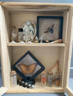 Houten vitrine rariteiten kastje, Ophalen of Verzenden