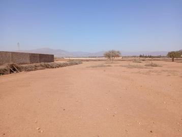 Terrain de 5 Hectares a vendre région d agadir Maroc  beschikbaar voor biedingen