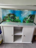 Aquarium, Dieren en Toebehoren, Ophalen, Gebruikt, Leeg aquarium