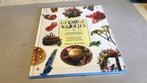 P. Westland - Geurige werkjes van kruiden en specerijen(4), Boeken, Ophalen of Verzenden, Zo goed als nieuw, Bloemen, Planten en Bomen