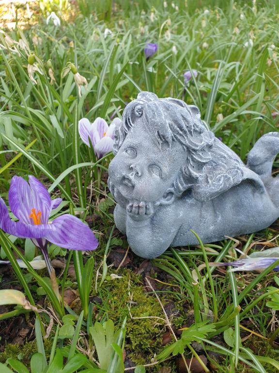 beton engeltje voor binnen of buiten, Tuin en Terras, Tuinbeelden, Nieuw, Beton, Ophalen of Verzenden