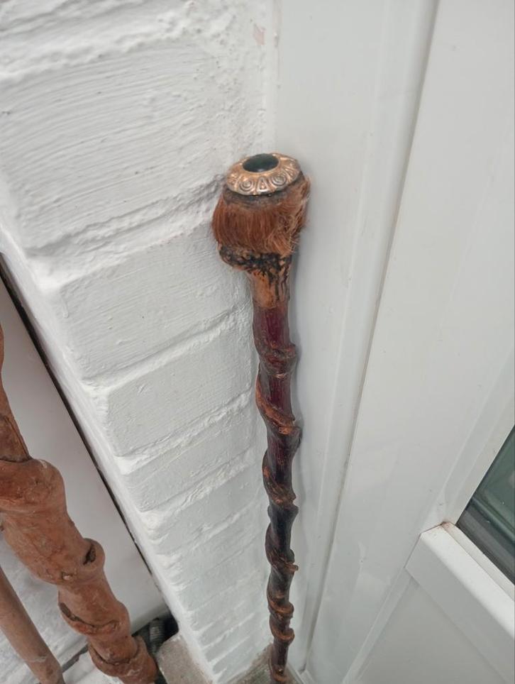 Canne noisetier tortueux 88 cm, Divers, Bâtons de marche