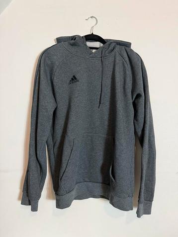 Hoodies / verschillende maten, Kleding | Heren, Ophalen of Verzenden, Zo goed als nieuw, Beige