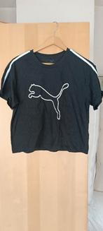 T-shirt puma m, Vêtements | Femmes, Vêtements de sport, Taille 38/40 (M), Enlèvement ou Envoi, Puma, Autres types