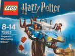 LEGO Harry Potter Zweinstein Beukwilg 75953 nieuw, Ophalen of Verzenden, Nieuw, Lego