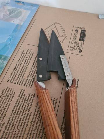 Buxusschaar beschikbaar voor biedingen