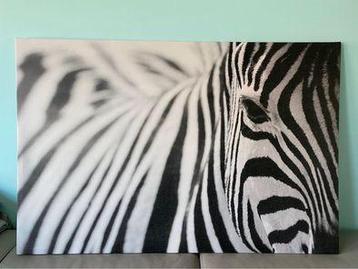 Canvas zebra
