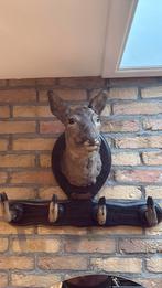 Antieke/Vintage hertenkop taxidermie met kapstok – 54 x 65, Ophalen, Zo goed als nieuw