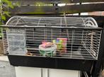 Konijnenhok, Dieren en Toebehoren, Ophalen, Gebruikt, Kooi