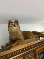 Animaux a vendre, Ophalen