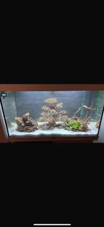 Juwel 180l aquarium met onderkast, Dieren en Toebehoren, Vissen | Aquaria en Toebehoren, Ophalen, Zo goed als nieuw