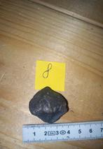 Fossielen spiriferen (NR8), Collections, Enlèvement ou Envoi, Fossile