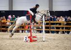 2 springponys en paardje te koop, Dieren en Toebehoren, Paarden, Merrie, Zadelmak