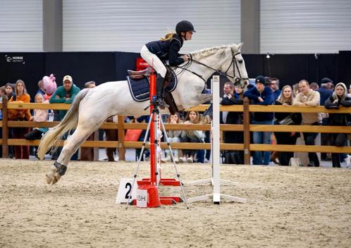 2 springponys en paardje te koop, Dieren en Toebehoren, Paarden, Merrie, Zadelmak