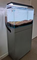 Volledige Aquascape Set – ADA, OASE, CHIHIROS, Dieren en Toebehoren, Vissen | Aquaria en Toebehoren, Ophalen, Zo goed als nieuw