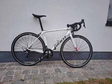 Giant TCR Advanced 2020, 57 à 61 cm, Enlèvement, 28 pouces, Hommes