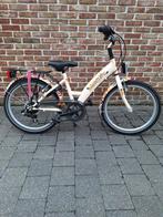 Golden Lion meisjesfiets 20 inch., Fietsen en Brommers, Ophalen, Versnellingen, Zo goed als nieuw, Golden Lion