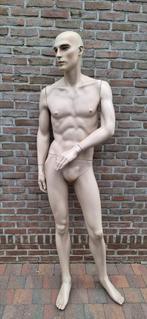 Modell Cidel Rootstein, Ophalen