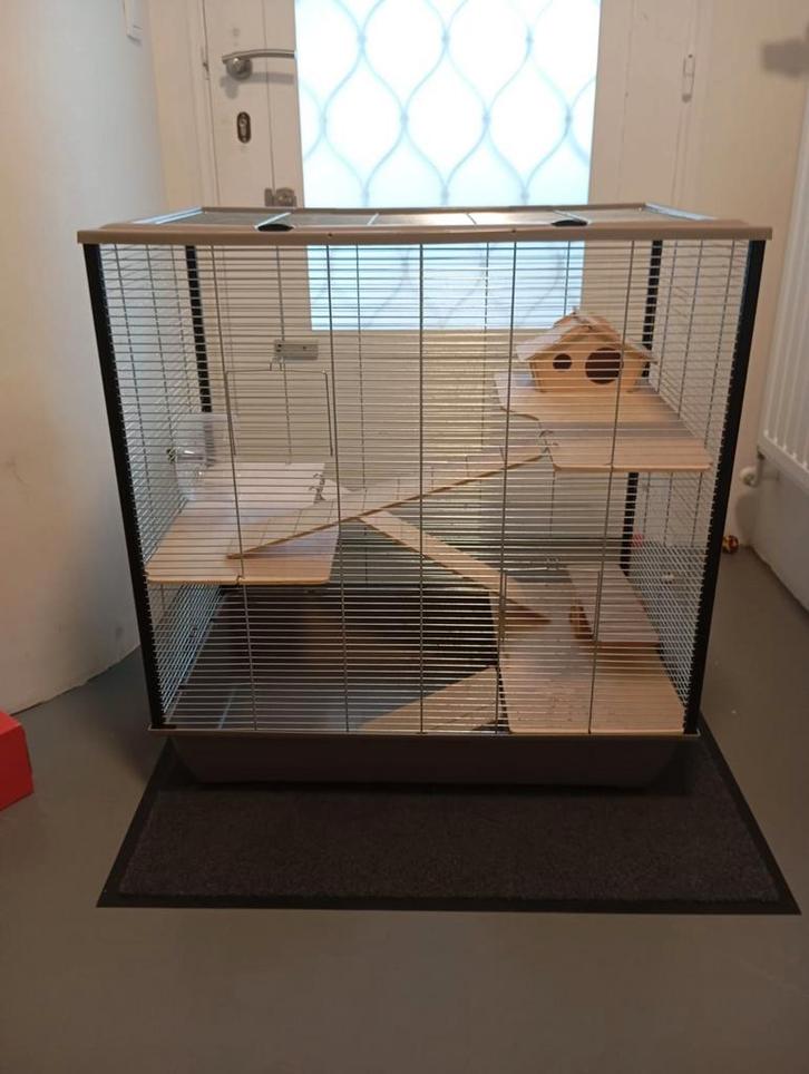 Grote kooi voor knaagdieren, Dieren en Toebehoren, Knaagdieren en Konijnen | Hokken en Kooien, Kooi, Ophalen