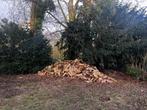 Bois de chauffage vert - 40€ le stère, Jardin & Terrasse, Bois de chauffage, 6 m³ ou plus, Enlèvement, Chêne, Bûches