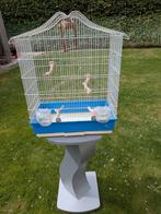 Vogelkooi + voet, Ophalen of Verzenden, Zo goed als nieuw, Vogelkooi