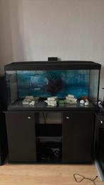 Aquarium, Dieren en Toebehoren, Ophalen, Gebruikt