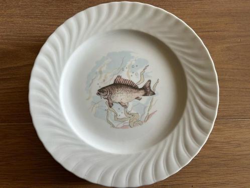 6 visborden + serveerschaal, Huis en Inrichting, Keuken | Servies, Zo goed als nieuw, Bord(en), Porselein, Ophalen