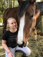 Verzorgpaard gezocht/bijrijder aangeboden, Dieren en Toebehoren, Paarden