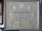PAN AM Round the World Certificate 1963 A. Van De Casteele, Verzamelen, Verzenden, Zo goed als nieuw, Kaart, Foto of Prent