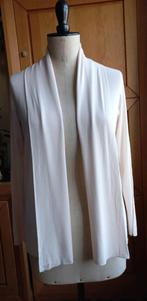 Lichtroze gilet / trui - maat M, Maat 38/40 (M), Ophalen of Verzenden, Zo goed als nieuw, Roze