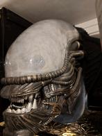 Alien: Xenomorph Wall Mounted Bust - Foam Replica, Enlèvement ou Envoi