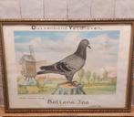 1964 Duivenbond Veldhoven kampioen, Antiek en Kunst, Kunst | Schilderijen | Klassiek, Ophalen of Verzenden