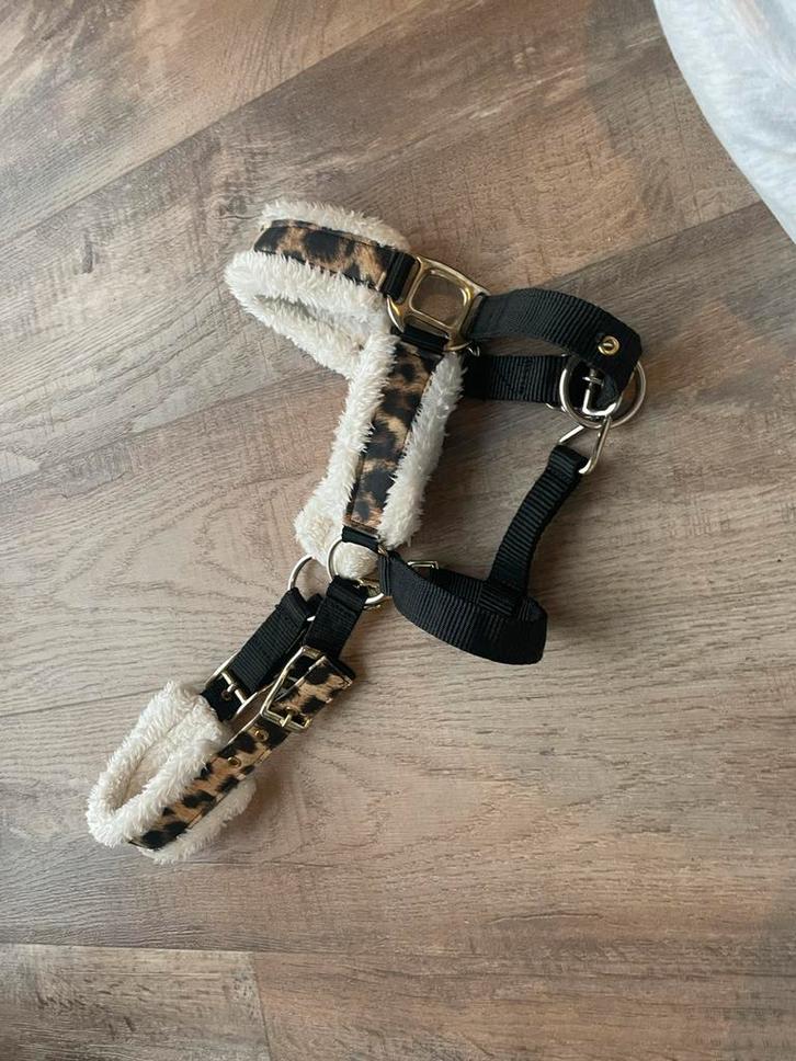 4 mooie halsters, Dieren en Toebehoren, Pony's